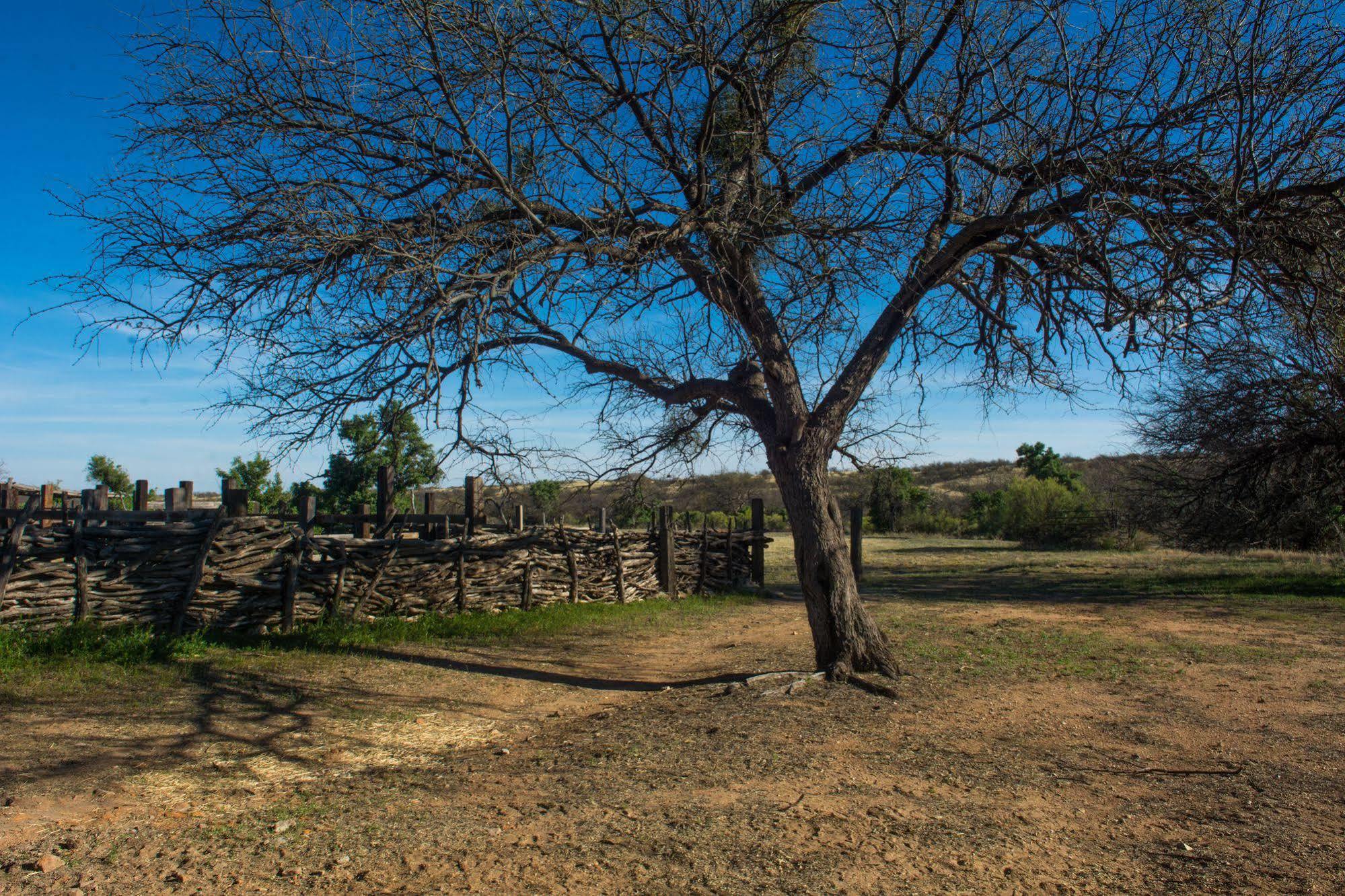 Rancho De La Osa Guest Ranch Hotel Sasabe Exterior foto